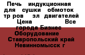 Печь   индукционная   для   сушки   обмоток   тр-ров,   зл. двигателей    › Цена ­ 3 000 000 - Все города Бизнес » Оборудование   . Ставропольский край,Невинномысск г.